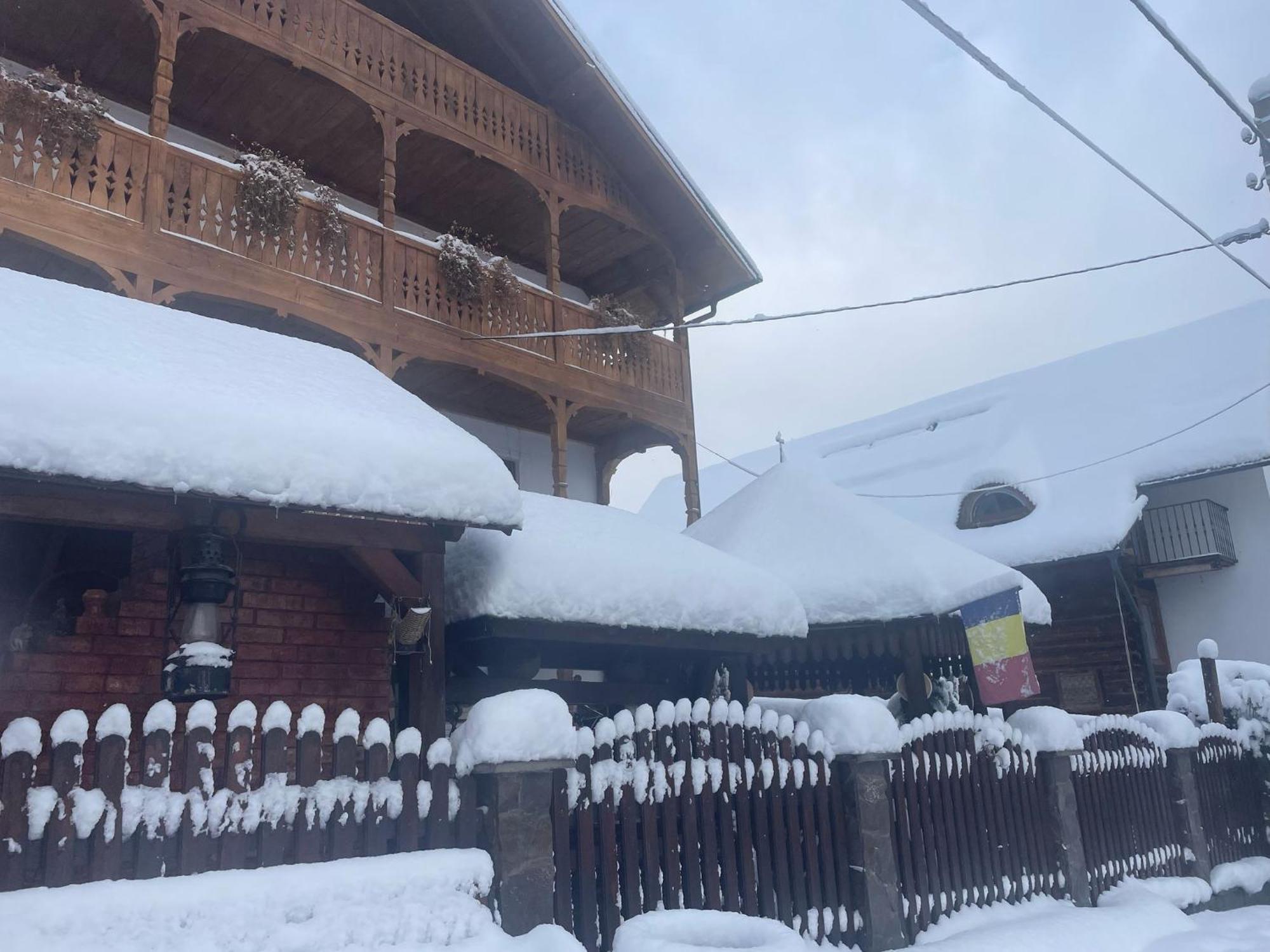 Hotel Casa Ionela Petreus Poienile Izei Esterno foto