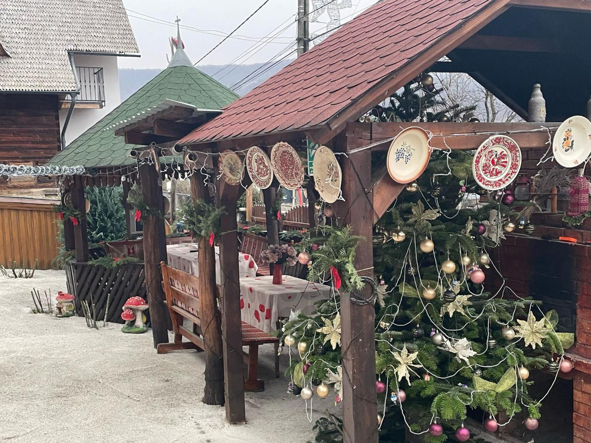 Hotel Casa Ionela Petreus Poienile Izei Esterno foto