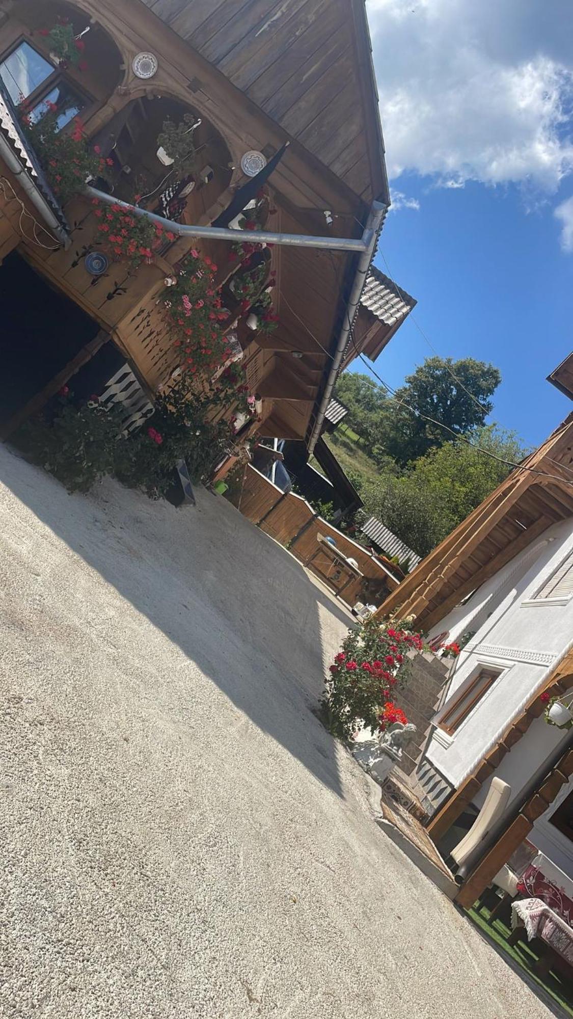 Hotel Casa Ionela Petreus Poienile Izei Esterno foto